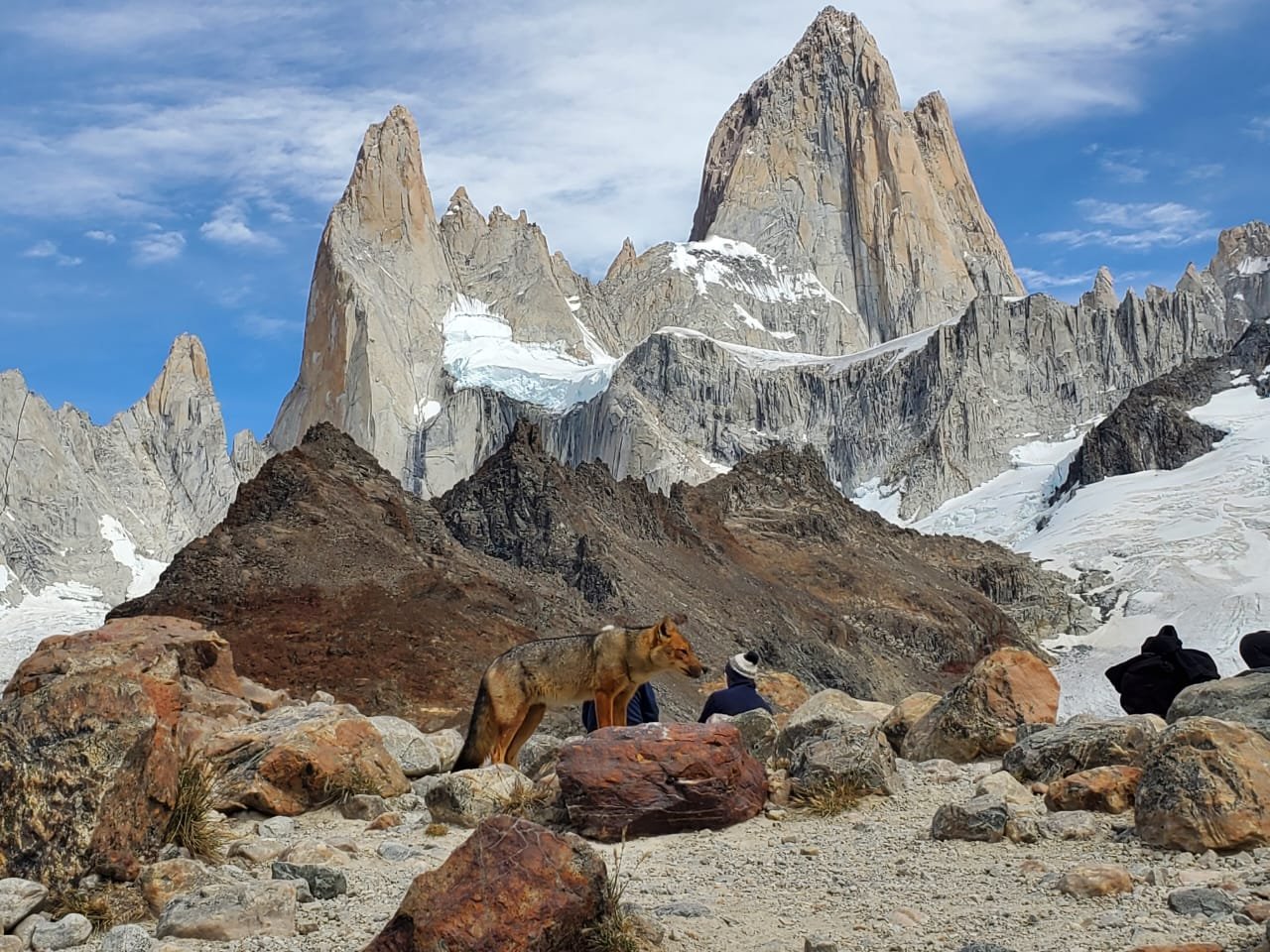 Laguna de los tres viewpoint with a friendly fox.