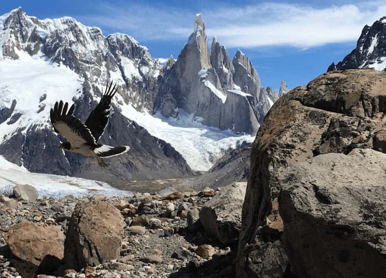 Cerro Torre in Patagonia