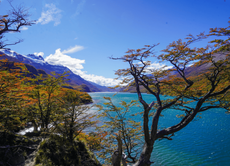 Lago del desierto el chalten