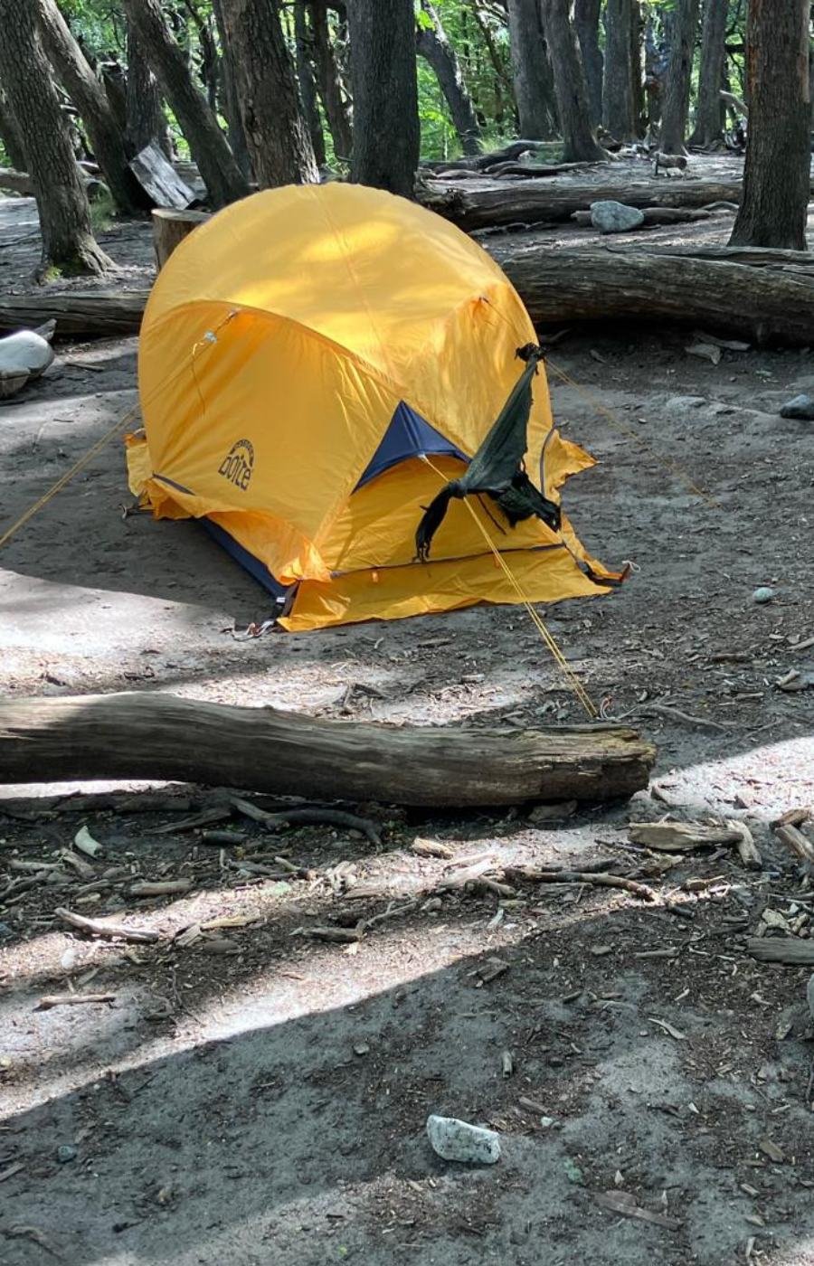 Yellow camping tent set up among trees near El Chaltén