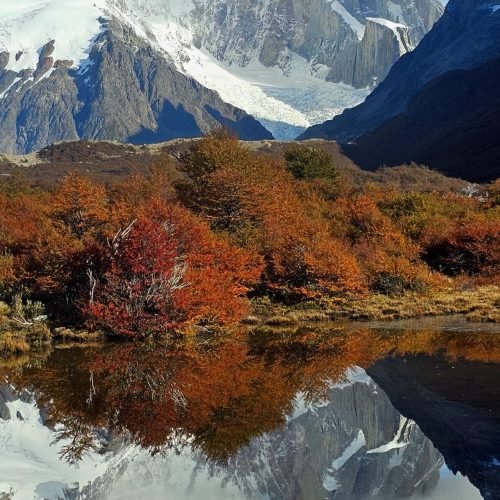 Cerro-torre-reflecting-off-pool